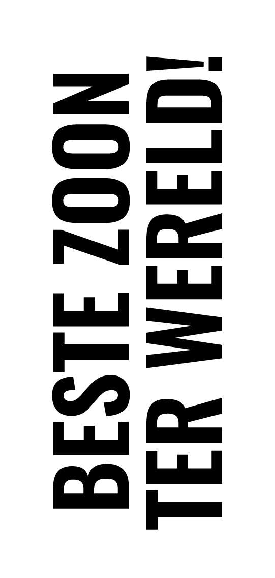 Productafbeelding 12
