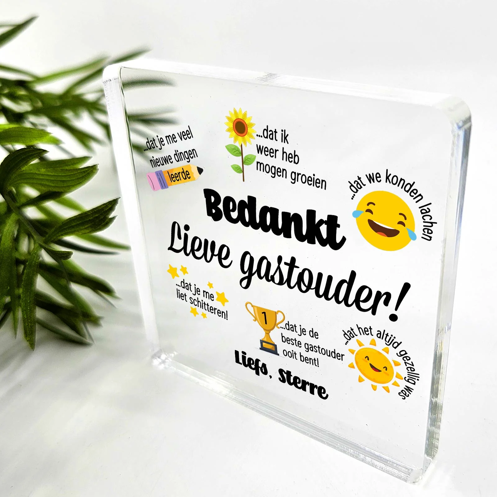 Productafbeelding 5