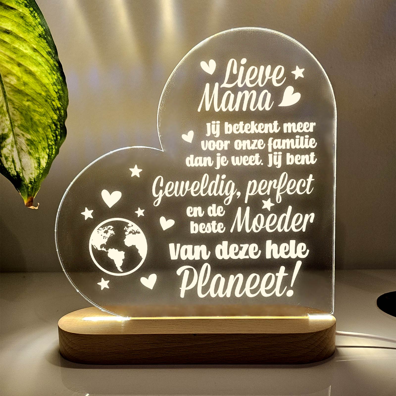 Productafbeelding 1