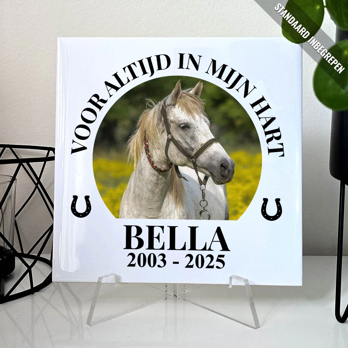 Productafbeelding 1